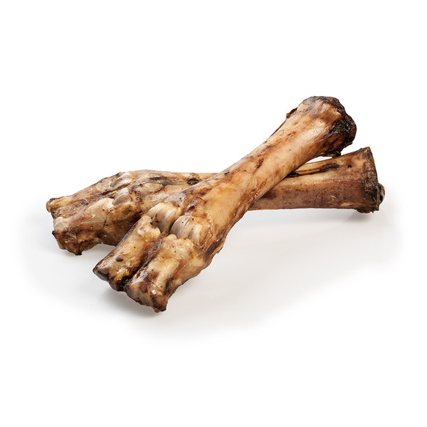 Rinderknochen mit Fleisch